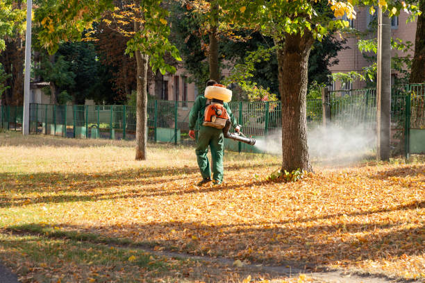 Professional Pest Control in Old Hill, CT