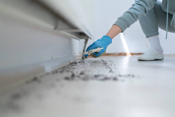 Wildlife Control Services in Old Hill, CT